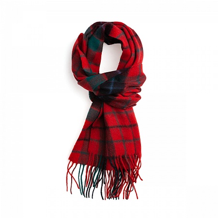 картинка Clans of Scotland Nicholson от магазина  Mykilt